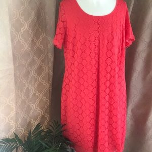 🌟SALE🌟3/$30 lace hot pink dress size 1X